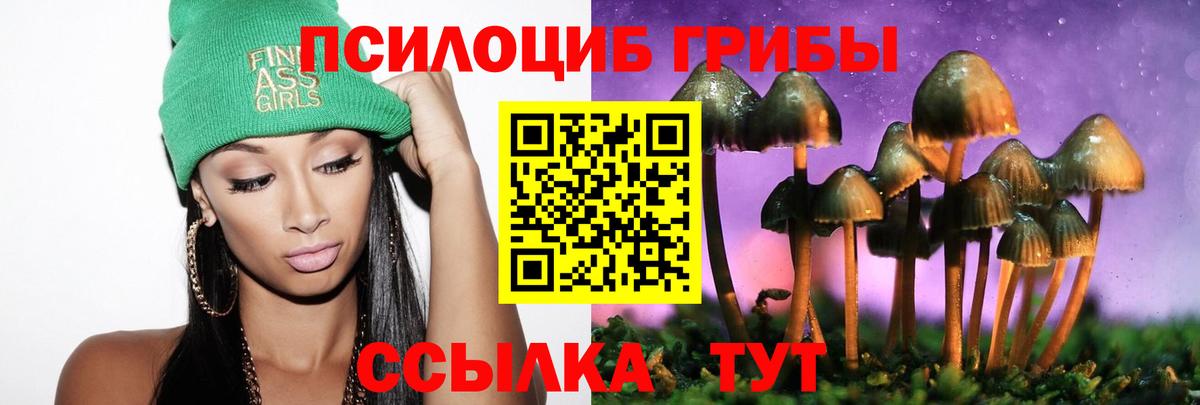 где продают   Вход с VPN  Заинск  Галлюциногенные грибы Psilocybine cubensis 